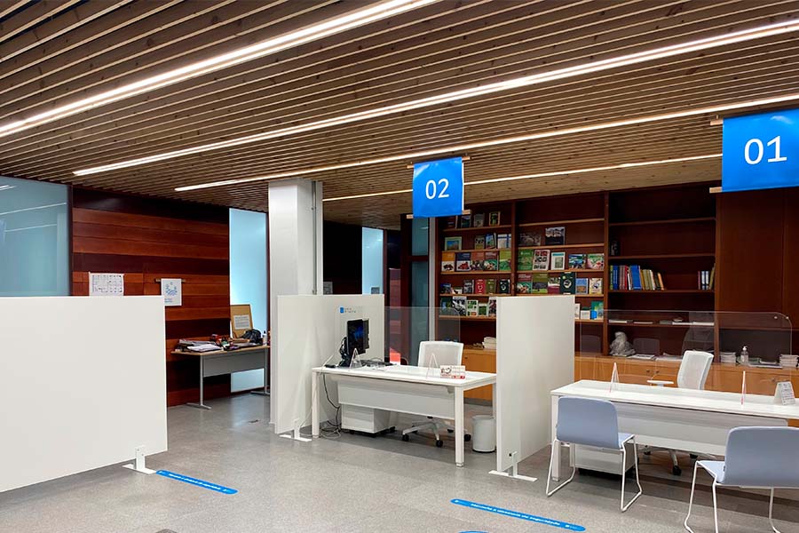 Proyecto Ribadavia